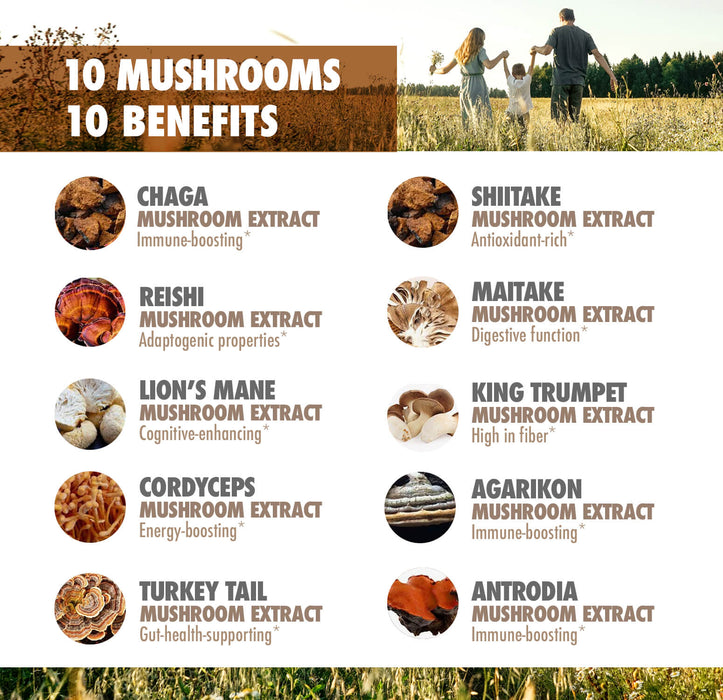 Mushroom Complex