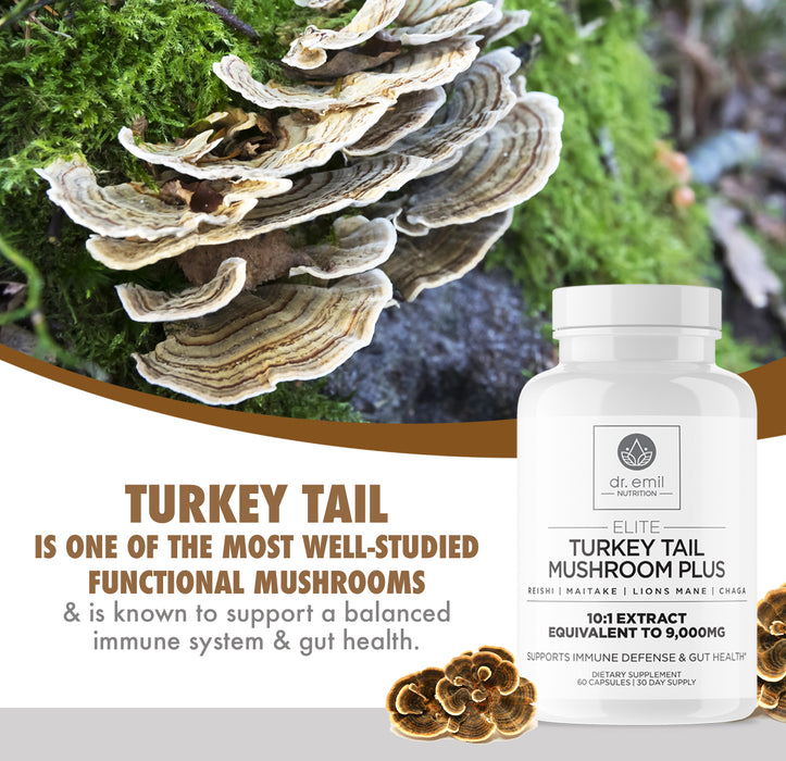 Elite Turkey Tail Mushroom Plus